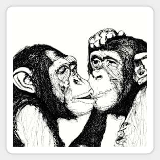 Chimpanzee Couple Love Magnet